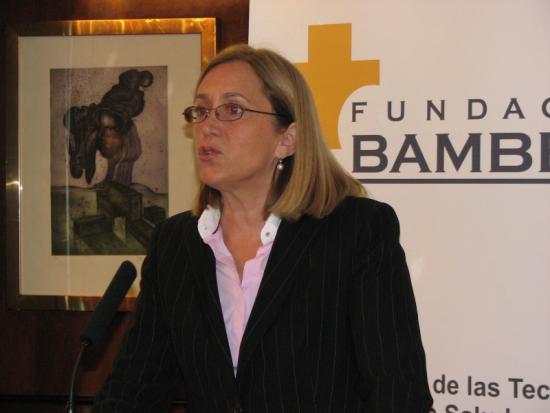 La consejera durante su presentación