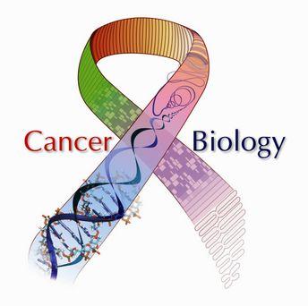 III Conferencia sobre Estrategias frente al Cáncer